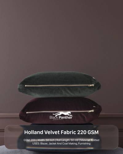 Holland Velvet 220 GSM | 58” Wide Premium Fabric for Apparel & Home Furnishing Projects in Surat